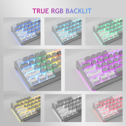 AULA F3261 60 Percent Wired Blue Switch Mechanical Gaming Keyboard, 29 RGB Backlight, Hot Swappable, Mini Small Compact, Office Gaming Rainbow Backlit, Budget Cheap Keyboard Computer PC Accessories College School Supplies Back to School Fallfreshness